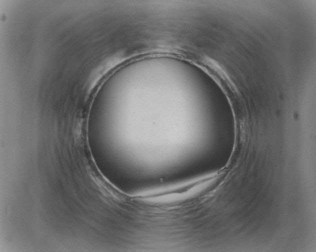 X0000084011260200703022022