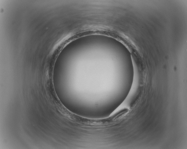 X0000084011261200703022022