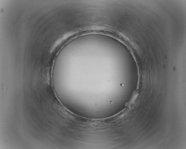 X0000084011262200703022022