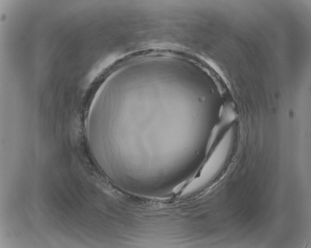 X0000084011263200703022022