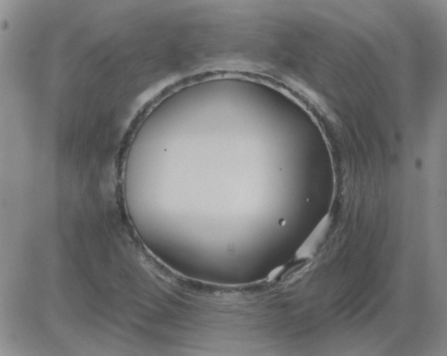 X0000084011264200703022022