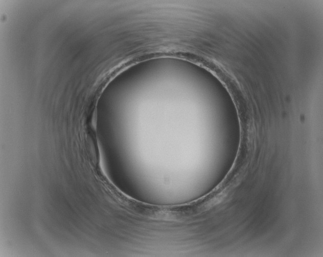 X0000084011265200703022022