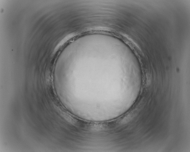 X0000084011266200703022022