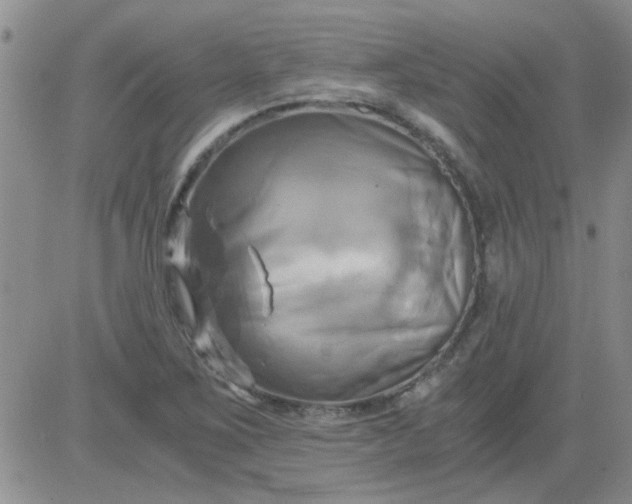 X0000084011267200703022022