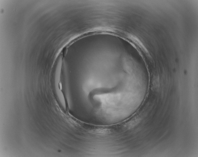 X0000084011268200703022022