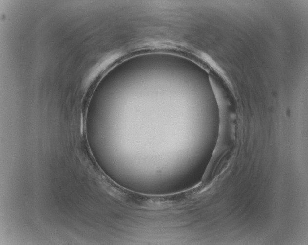 X0000084011269200703022022