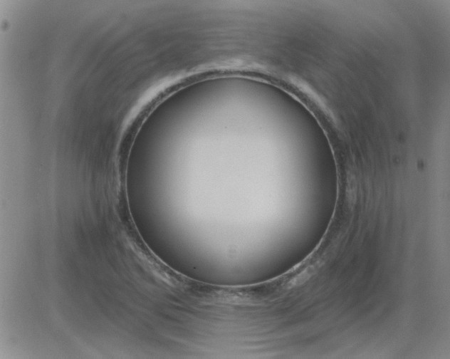 X0000084011270200703022022