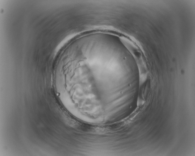 X0000084011271200703022022