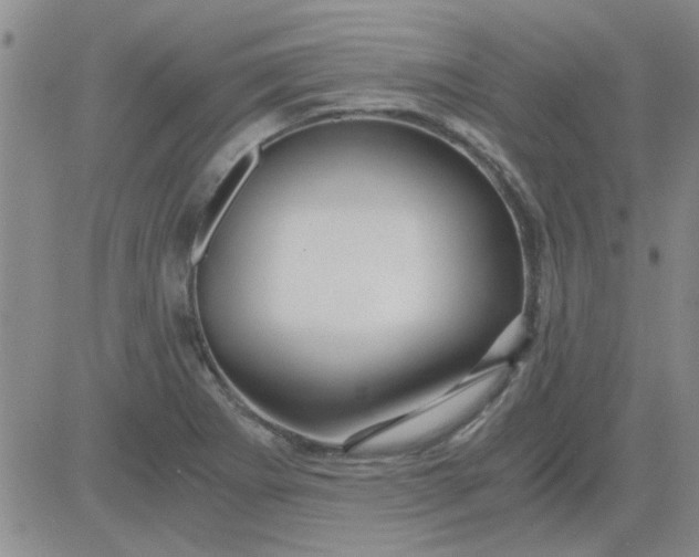 X0000084011273200703022022