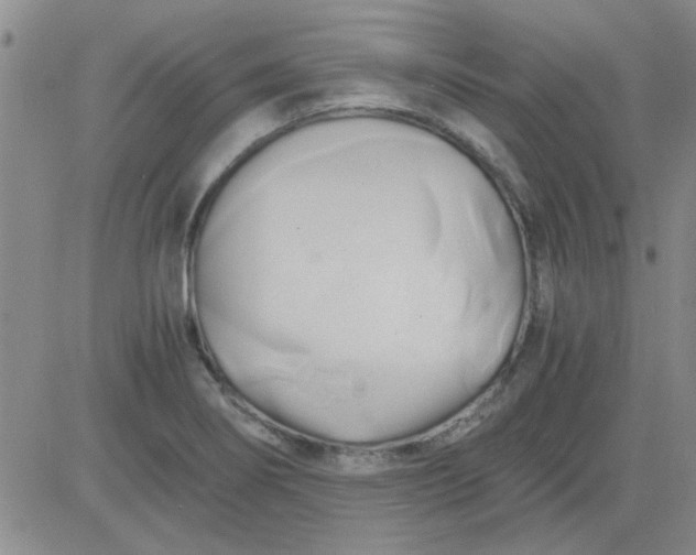 X0000084011274200703022022