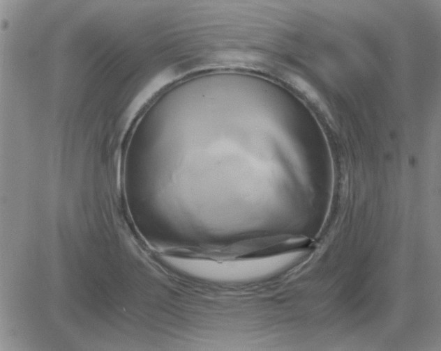 X0000084011275200703022022