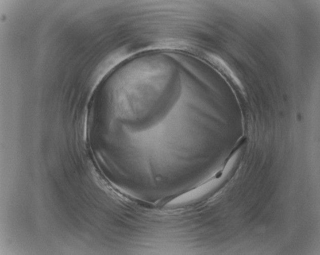 X0000084011276200703022022