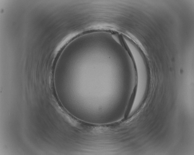 X0000084011277200703022022