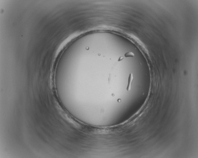 X0000084011278200703022022