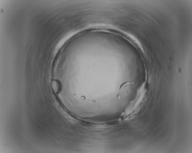 X0000084011279200703022022