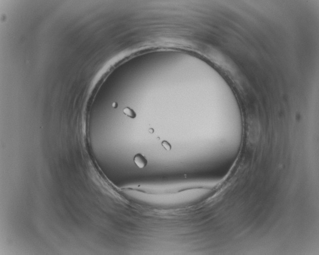 X0000084011280200703022022