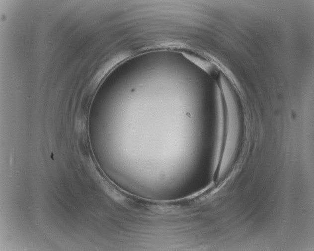 X0000084011281200703022022