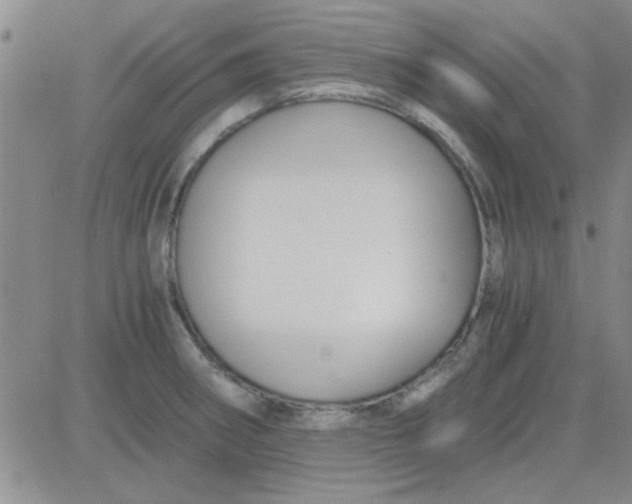 X0000084011282200703022022