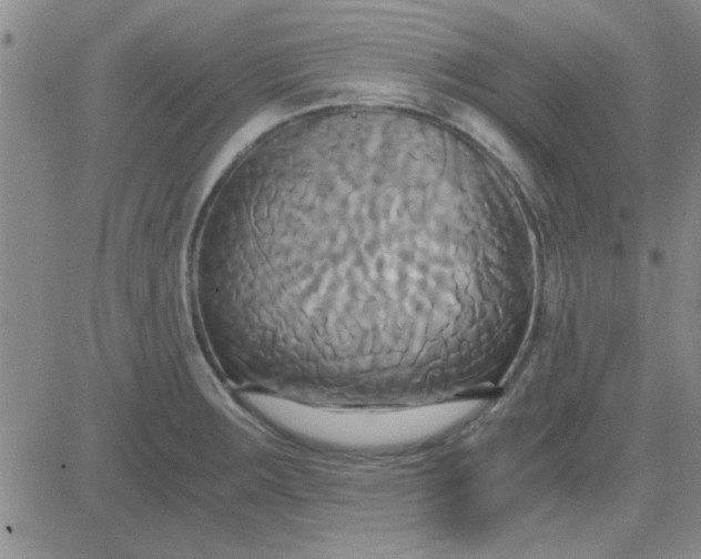 X0000084011283200703022022