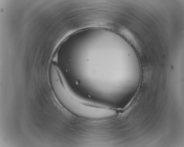 X0000084011284200703022022