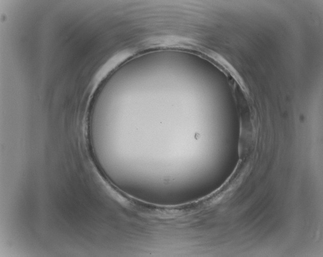 X0000084011285200703022022