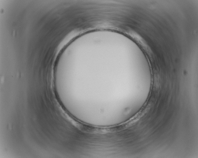 X0000084011286200703022022