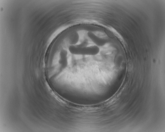 X0000084011287200703022021