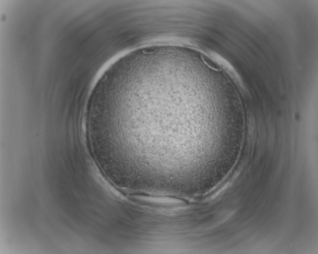 X0000084011288200703022021