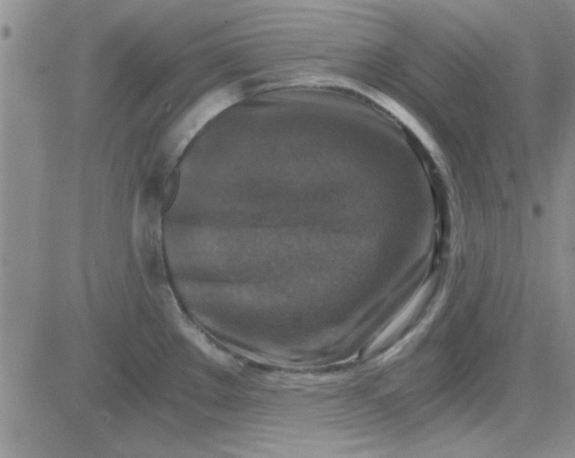 X0000084011289200703022021