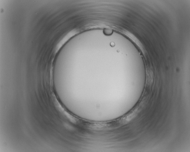 X0000084011290200703022021