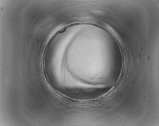 X0000084011291200703022021