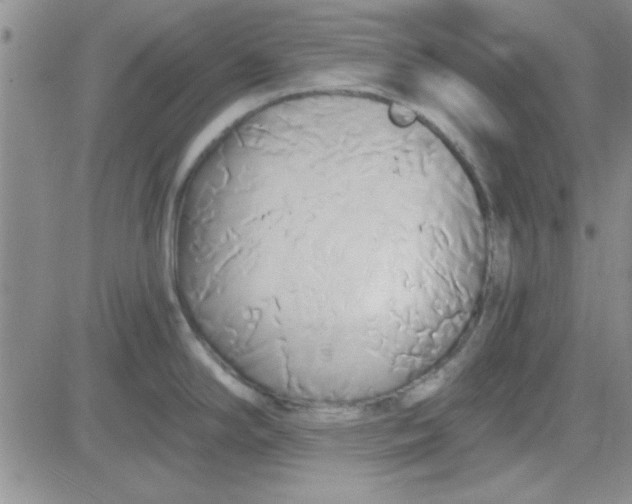 X0000084011294200703022021