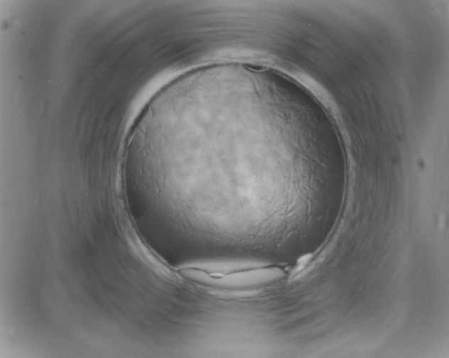 X0000084011296200703022021