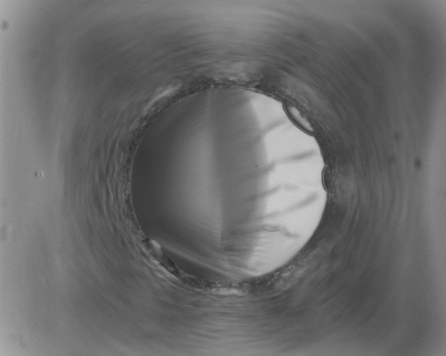 X0000084011297200703022021