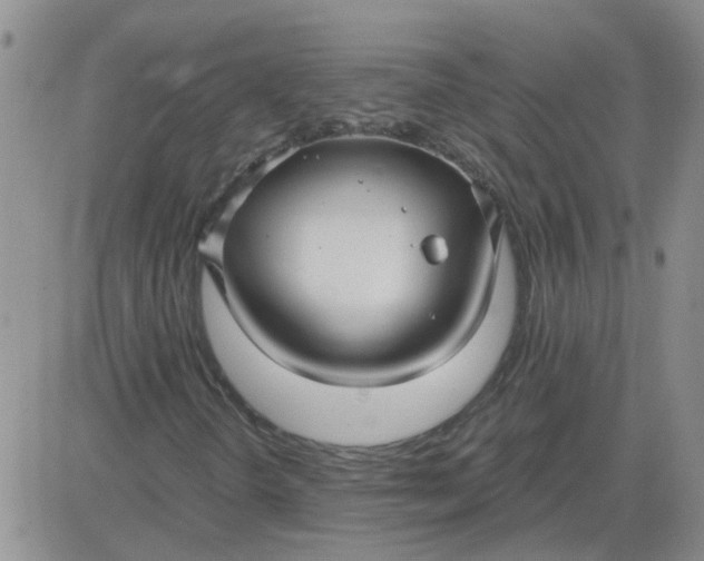 X0000084011298200703022021