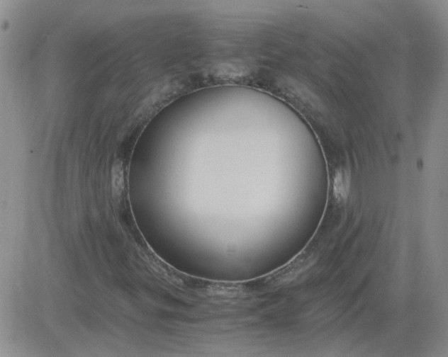 X0000084011299200703022021