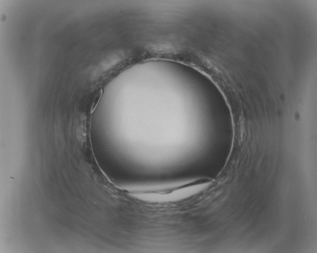 X0000084011301200703022021