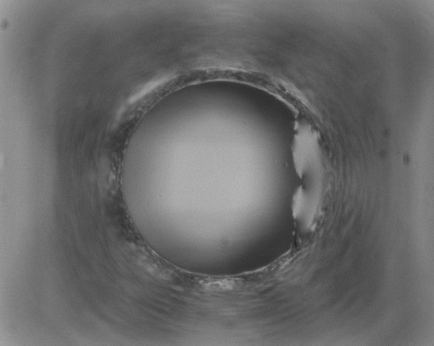 X0000084011303200703022021