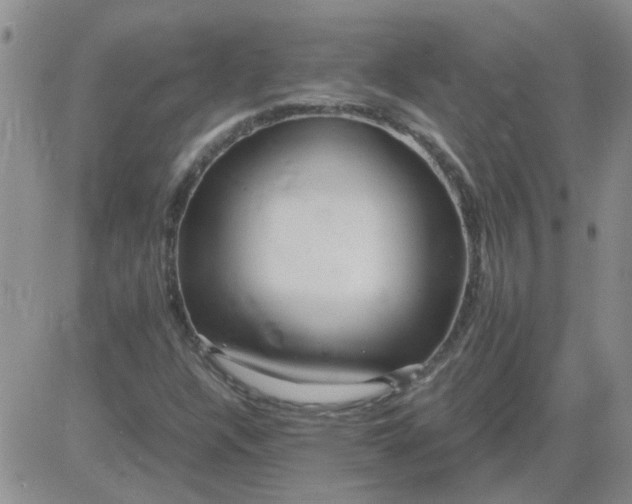 X0000084011304200703022021