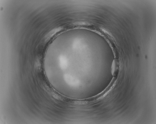 X0000084011305200703022021