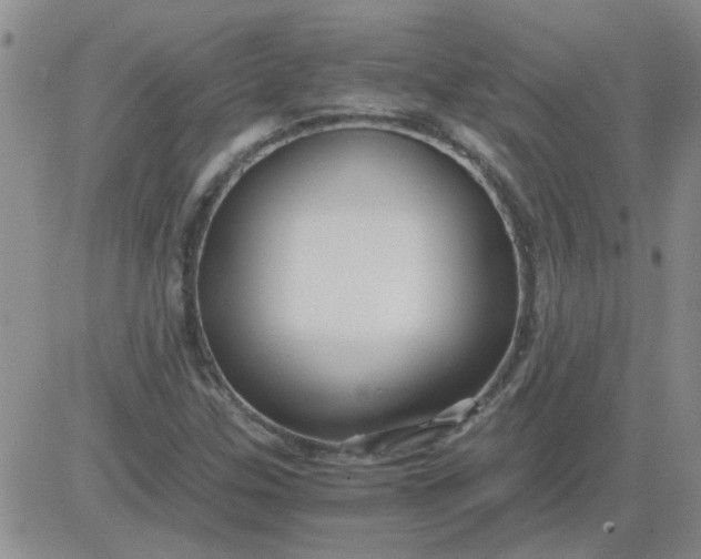 X0000084011307200703022021