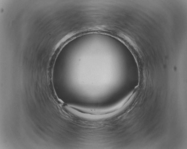 X0000084011308200703022021