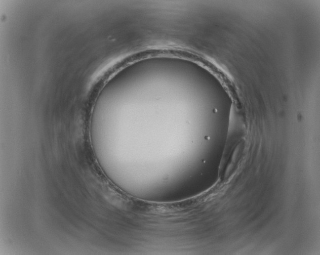 X0000084011311200703022021