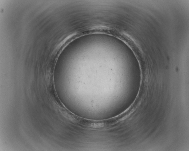 X0000084011313200703022021