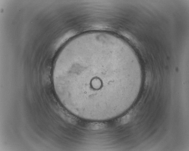 X0000084011314200703022021