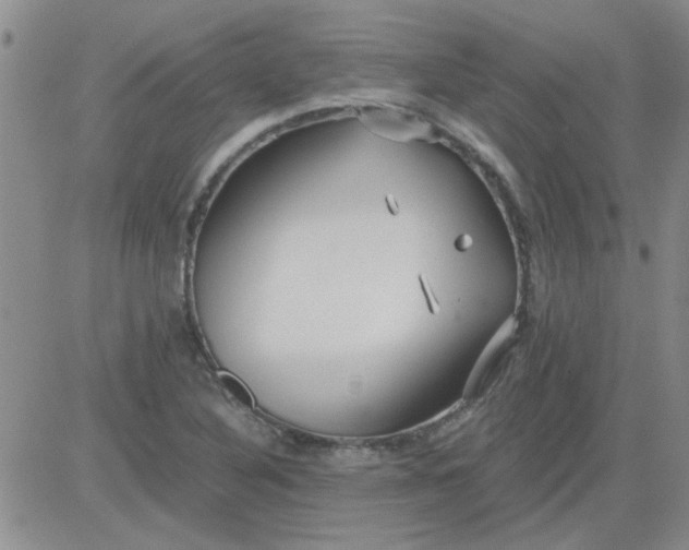 X0000084011316200703022021