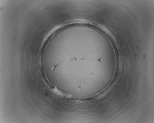 X0000084011318200703022021