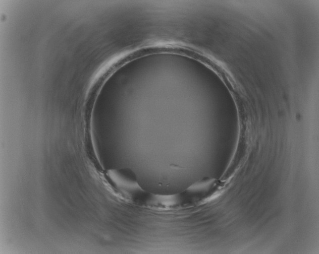 X0000084011319200703022021