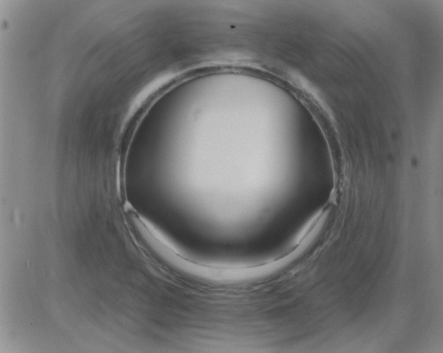 X0000084011320200703022021