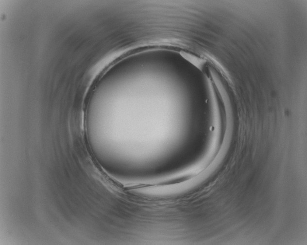 X0000084011324200703022021